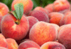 Should I choose big or small peaches when buying to get sweet and juicy fruit?