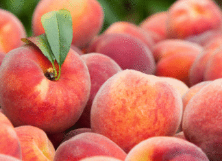 Should I choose big or small peaches when buying to get sweet and juicy fruit?