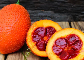 Lost treasure of gac fruit: A golden medicinal herb packed with cancer-fighting compounds