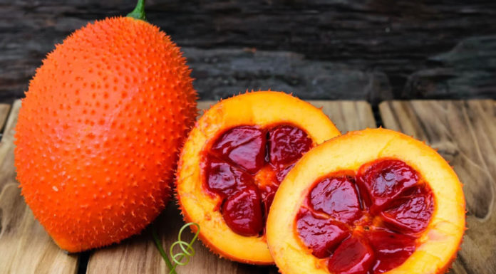 Lost treasure of gac fruit: A golden medicinal herb packed with cancer-fighting compounds