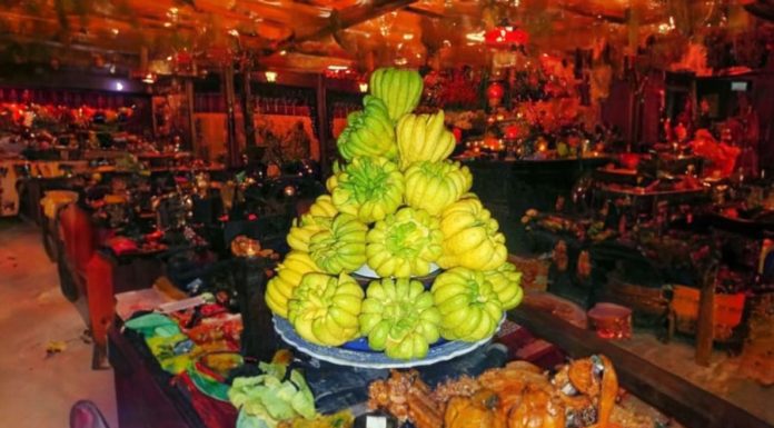 Cooking Delicious and Healthy Dishes with Buddha’s Hand: A Mother’s Guide