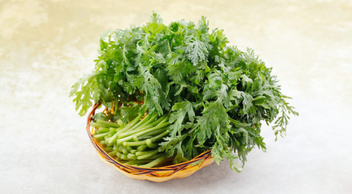 The Amazing Benefits of Regularly Eating Kale