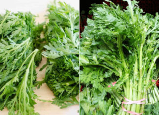 This is a type of vegetable that is rich in vitamins and calcium, affordable and beneficial for health, many people are not aware of it.