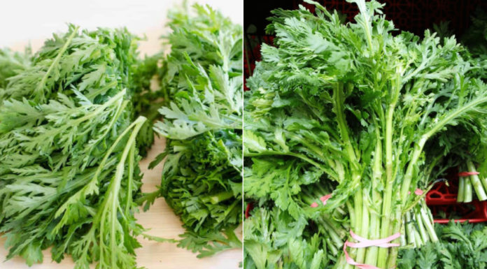 This is a type of vegetable that is rich in vitamins and calcium, affordable and beneficial for health, many people are not aware of it.