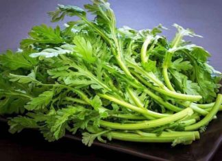 Delicious and Effective Winter Vegetables: Cheap, Easy-to-Cook Remedies for Colds and Headaches