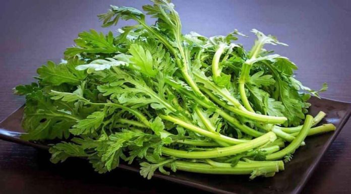 Delicious and Effective Winter Vegetables: Cheap, Easy-to-Cook Remedies for Colds and Headaches