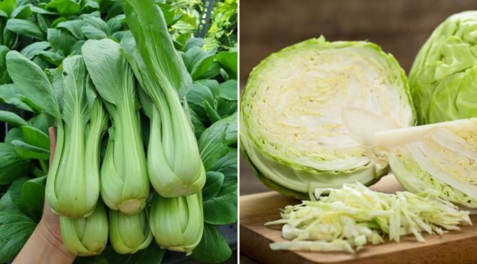 7 Calcium-rich Vegetables That Are Even Better Than Bone Broth, Eat as Much as You Want Without Worrying About Gaining Weight