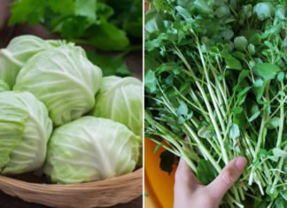 7 Cancer-Fighting Cruciferous Vegetables: Effectively Preventing Cancer and Kicking K to the Curb