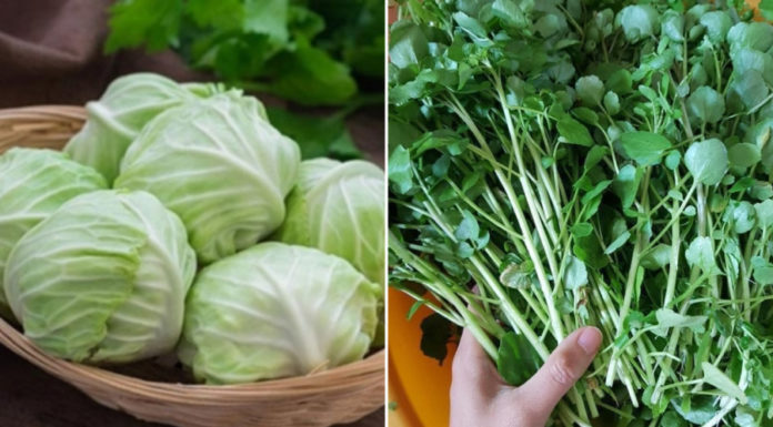 7 Cancer-Fighting Cruciferous Vegetables: Effectively Preventing Cancer and Kicking K to the Curb