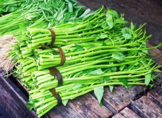 Clean Water Spinach or Fertilizer-Filled? One Glance and You’ll Know