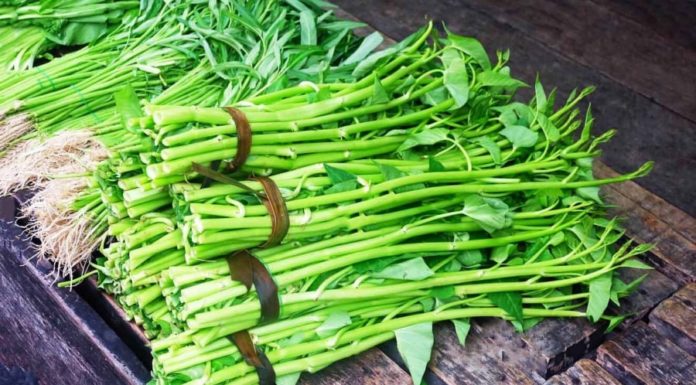 Clean Water Spinach or Fertilizer-Filled? One Glance and You’ll Know