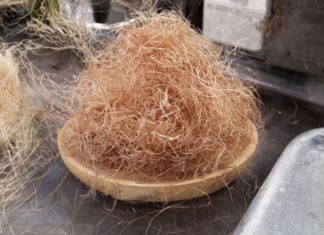 Powerful Kidney Health and Diabetes Control Supplements Found at Vietnamese Markets