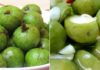 When buying green plums, should you choose young or mature fruits?