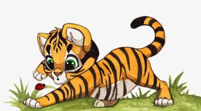 Which Birthdate will Bring You Luck and Peace for a Lifetime? Let’s Find Out!