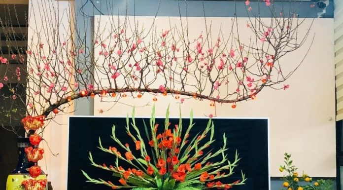Why do Vietnamese people display peach blossoms, apricot blossoms, and kumquat trees during Tet?