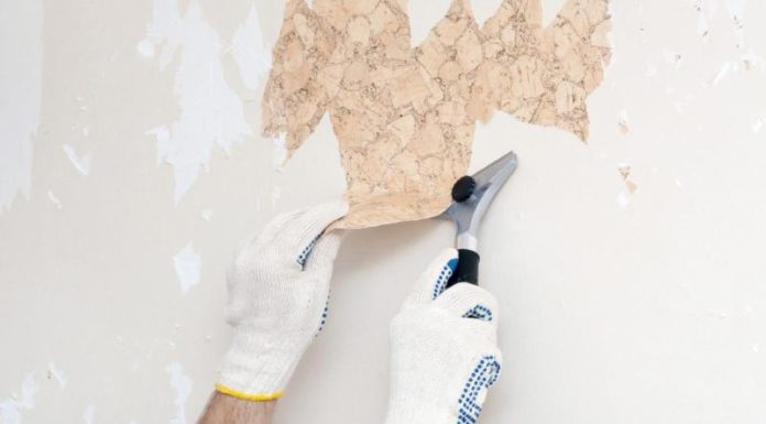 Revamp Your Home for Tết with Proper Wall Painting Steps