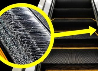 Did you know: What is the purpose of the bristle strip on the edge of a spiral staircase?