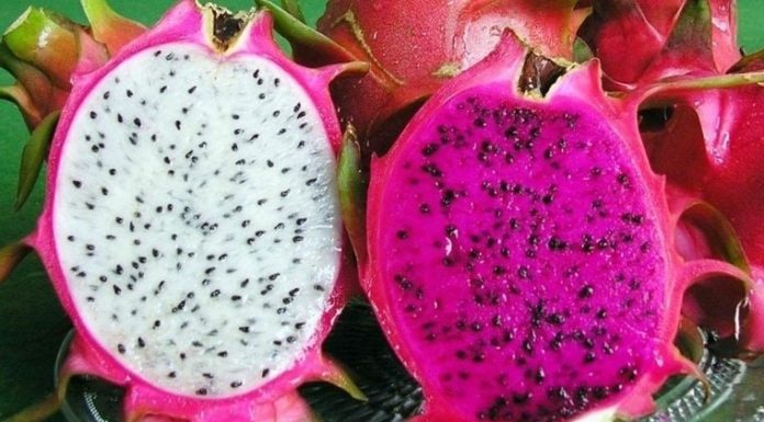Which variety of dragon fruit has more nutrients: red or white flesh?