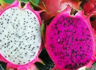 White flesh dragon fruit or red flesh dragon fruit: The untold benefits of each type.
