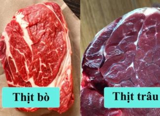 Tips to differentiate between beef, buffalo, and lean pork, no fear of buying the wrong one this Tet