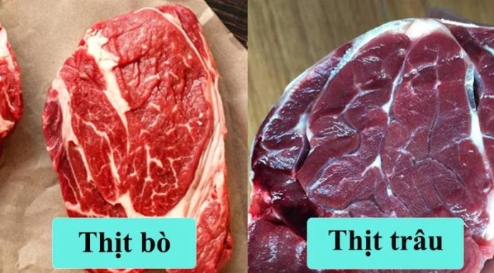 Tips to differentiate between beef, buffalo, and lean pork, no fear of buying the wrong one this Tet