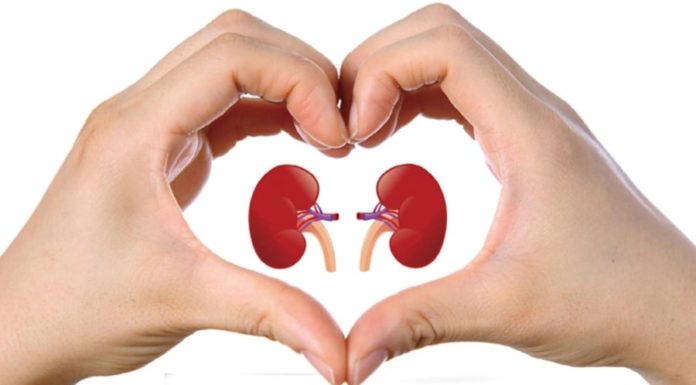 Winter is the golden time to nourish the kidneys, men can eat these 3 things for “1 healthy person, 2 happy people”