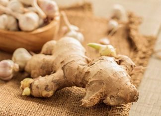 5 Sprouted Foods That Are Still Edible, Even More Nutritious