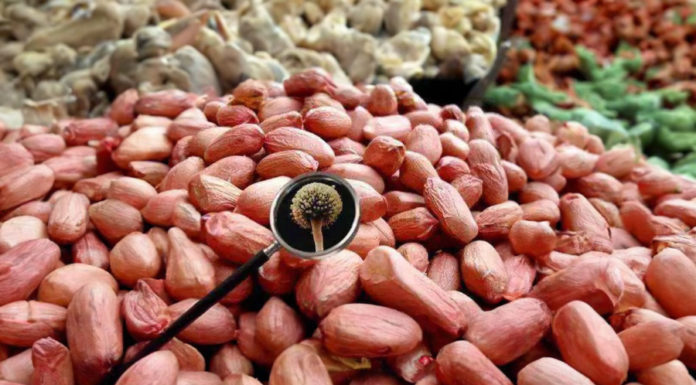 The highly toxic substance lurking in your kitchen that almost everyone has, be careful or cancer may be near.