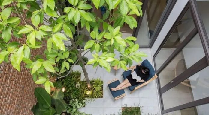 10 Effective Ways to Save Electricity and Reduce Summer Energy Bills