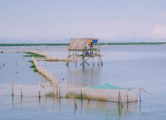 What makes the Co Noi Beach coordinates so appealing to visitors?