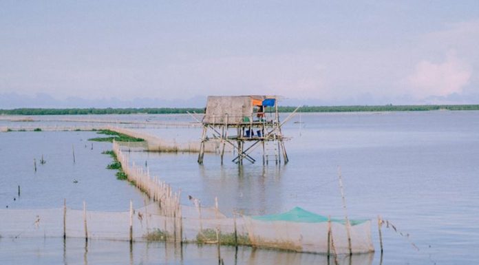 What makes the Co Noi Beach coordinates so appealing to visitors?