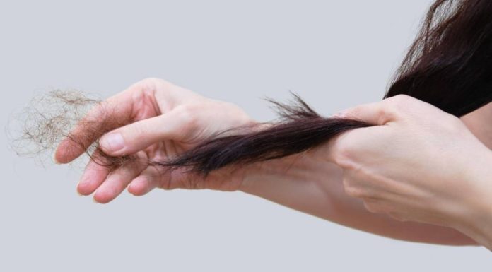 Stop hair loss: Eat these 5 foods for thick, shiny hair and prevent breakage effectively.