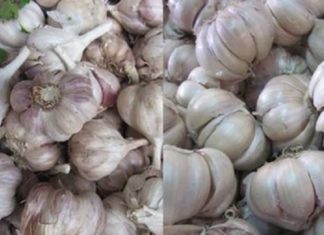 Differentiating fruits and vegetables from Vietnam and China