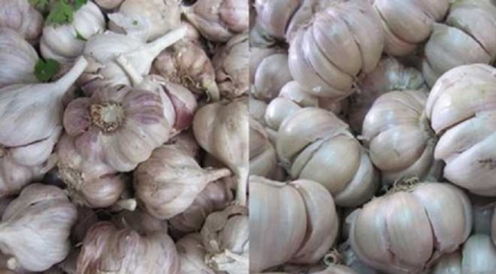 Differentiating fruits and vegetables from Vietnam and China