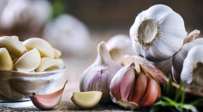 5 Natural Antibiotic Foods That Cure Colds Effectively During Winter: Don’t Miss Out