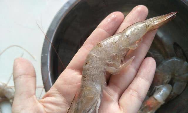 Choosing Straight or Curved Shrimp: Little-Known Tips from a Chef