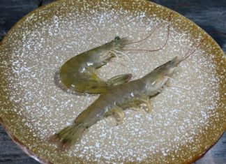 Buying shrimps: Should they be curved or straight? Insider tips for choosing the freshest and most delicious shrimp, don’t miss out on this crucial detail.