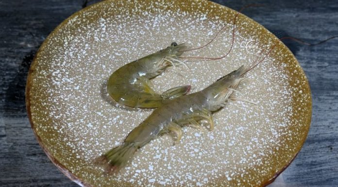 Buying shrimps: Should they be curved or straight? Insider tips for choosing the freshest and most delicious shrimp, don’t miss out on this crucial detail.