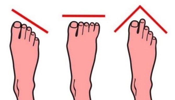 Fortune or Poverty? Your Future Determined by Toe Length