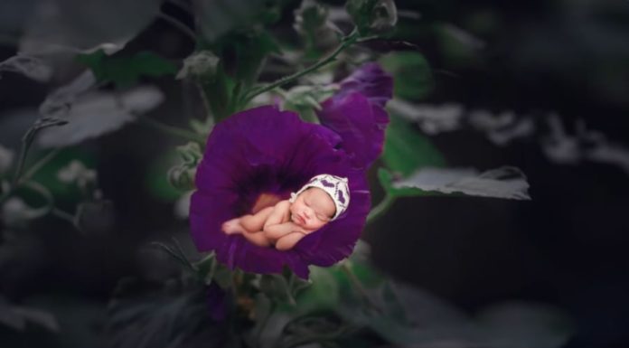 Children born in these 4 time frames grow up to be more beautiful, kind-hearted, and bring fortune to their parents