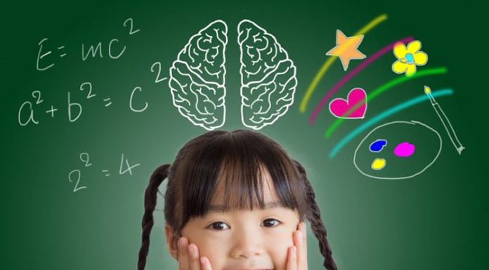 Children show these 3 signs of intelligence from inside the shell: Growing up wealthy, obedient to parents and enjoying happiness.