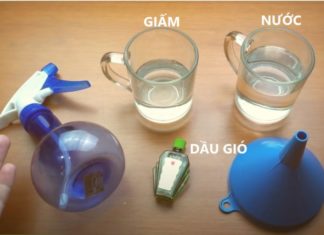 A few drops of essential oil in a cup of white vinegar, a small tip with great benefits for family members