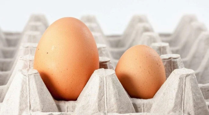 When buying eggs, should you choose large or small ones?
