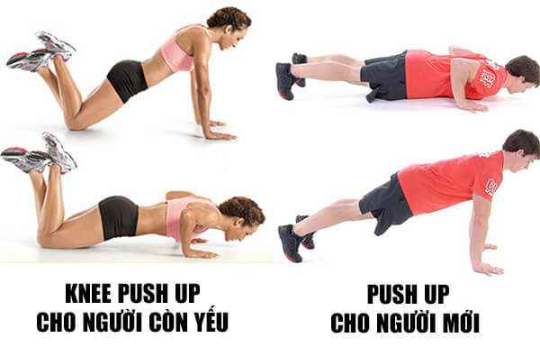 Proper Way to Do Push-ups (Step-by-Step Guide)
