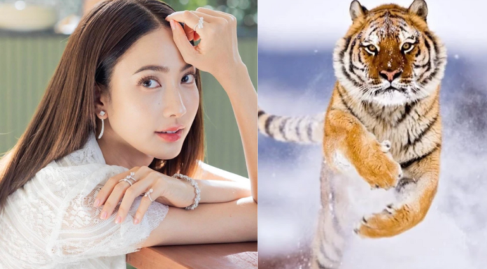 Lucky Streak: 4 Years Old Gets Richer as Lunar New Year Approaches, Collect Gold on the Streets and Bring Home a Fortune with Rapidly Increasing Income