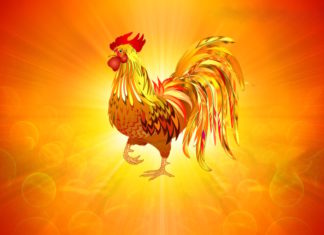 Lucky Year-End Celebration: Age 4 Brings Abundance and Easy Success, Especially in Pairing Numbers