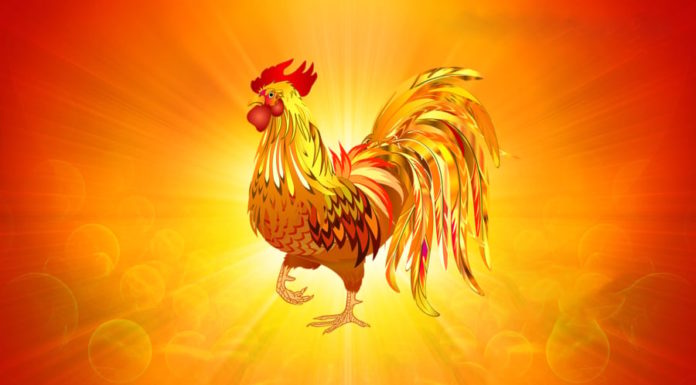 Lucky Year-End Celebration: Age 4 Brings Abundance and Easy Success, Especially in Pairing Numbers