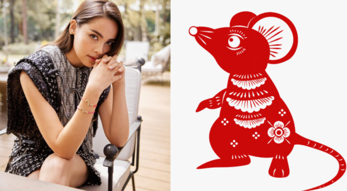 Lunar New Year: 4 Years with Wealth, Love, and Happiness, Sitting Still Yet Soaring like a Kite in the Breeze before the 23rd Month of the Lunar Year