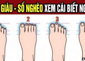 Discover Your Future: Decode the Length of Your Big Toe in 3 Seconds! Will You Soar Like a Phoenix or Struggle in Poverty?