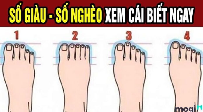 Discover Your Future: Decode the Length of Your Big Toe in 3 Seconds! Will You Soar Like a Phoenix or Struggle in Poverty?